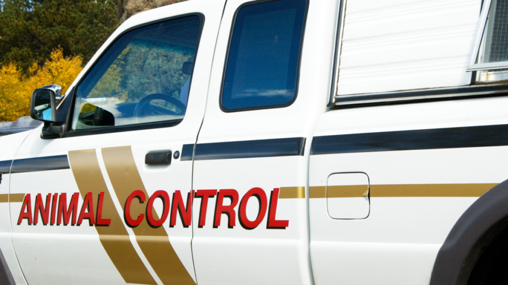 Animal control truck parked in street of residential neighborhood.