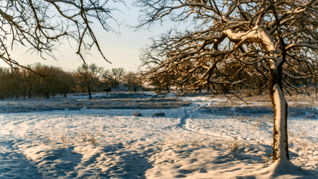 Texas winter during the 2021 freeze event that left multiple homes in need of a home renovation.