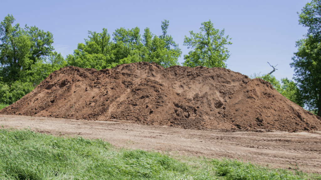 Large stockpile of brown fill dirt heaped along the edge of a cleared site, with tracked equipment marks visible in the compacted ground in front of it. Tall green trees rise behind the pile and unmown grass grows at the lower left, under a clear blue sky.