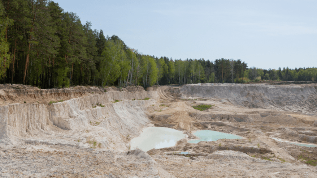 Wide excavated pit with pale sandy walls cut into terraced benches, holding several shallow pools of standing water in milky white and pale turquoise. A dense stand of pine and birch trees borders the upper edge of the excavation, with scattered vegetation taking hold on the exposed slopes.